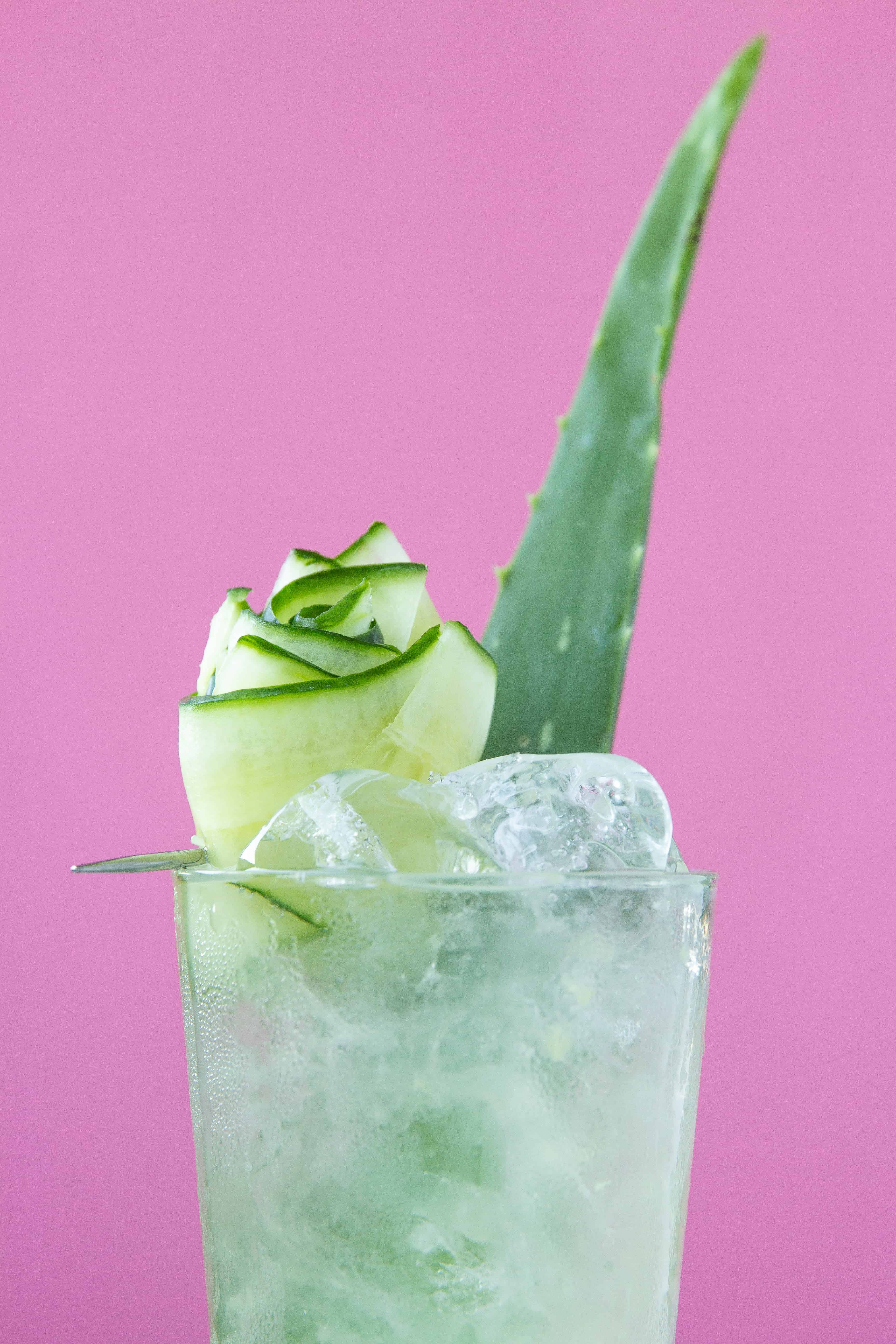 Cucumber Melon Gin Spritzer - Sand and Sisal