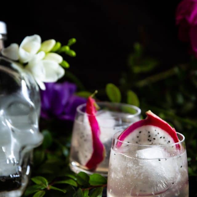 Dragon Fruit Bubbly Vodka Punch Liquid Culture