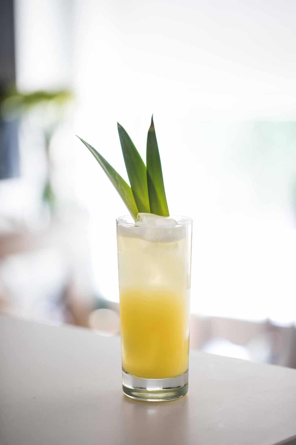 Mezcal Pineapple Sour Beertail Liquid Culture