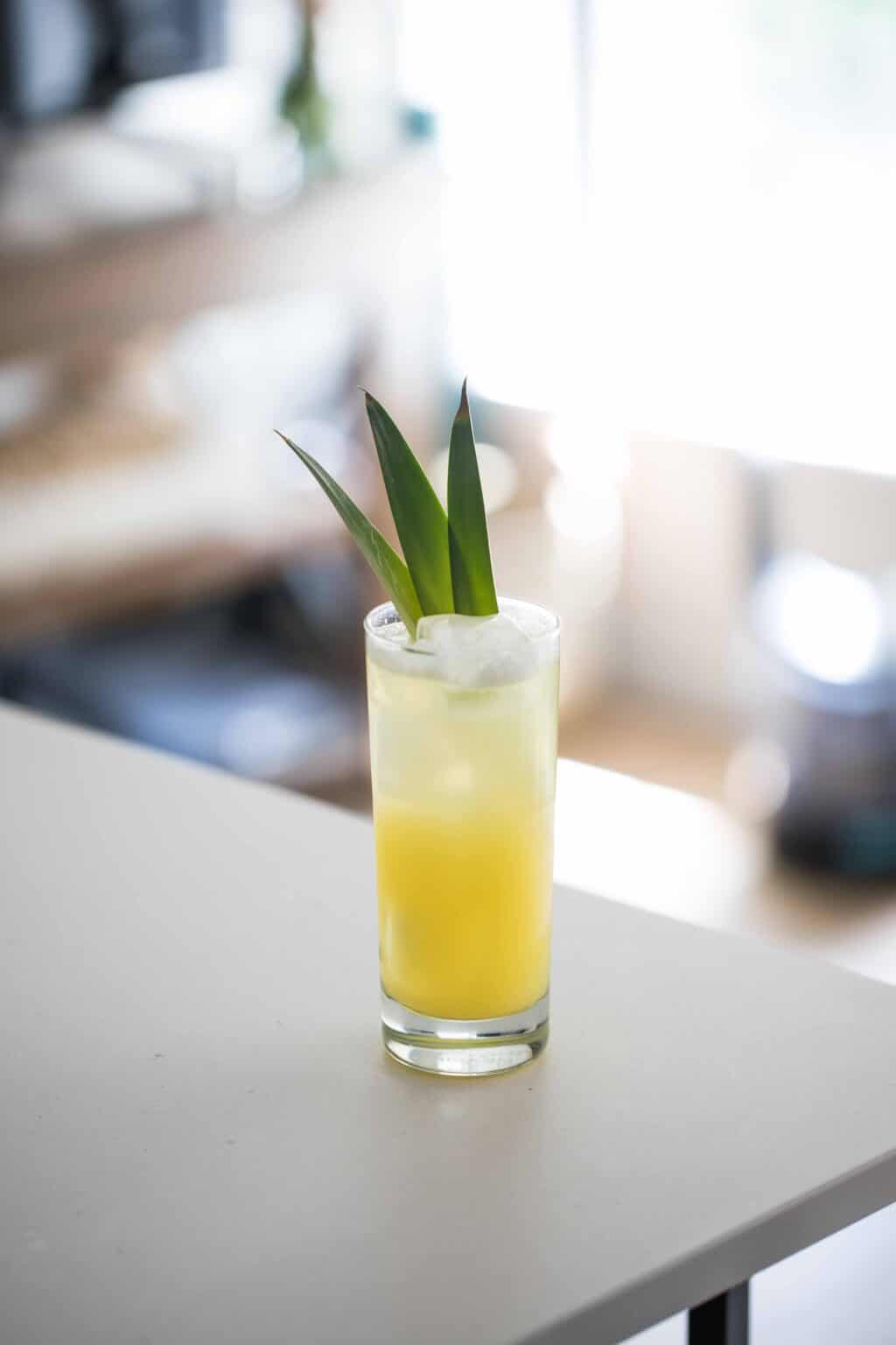 Mezcal Pineapple Sour Beertail Liquid Culture