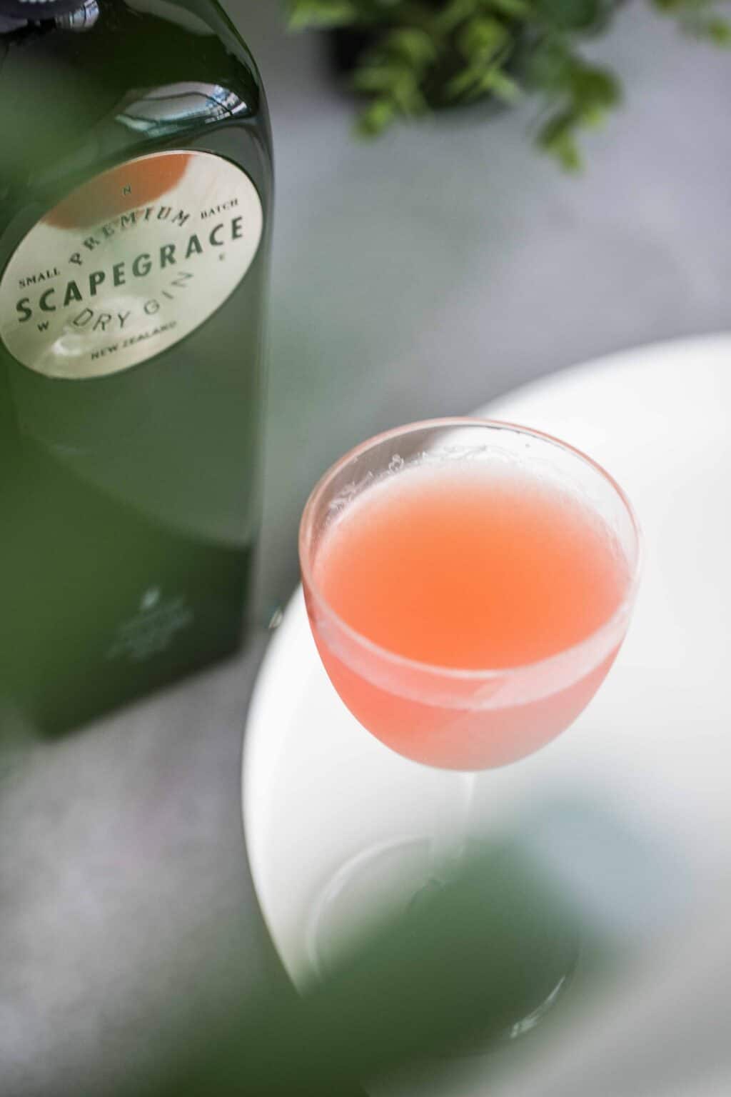 The Summer Beat Gin, Watermelon & Absinthe Summer Martini with Scapegrace Gin Liquid Culture