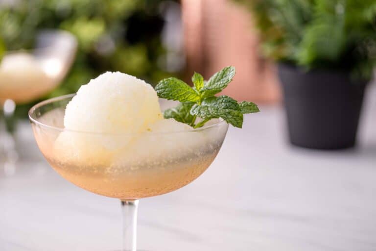 Cachaca Mint Lime Sorbet - Caipirinha Sorbet Recipe | Liquid Culture