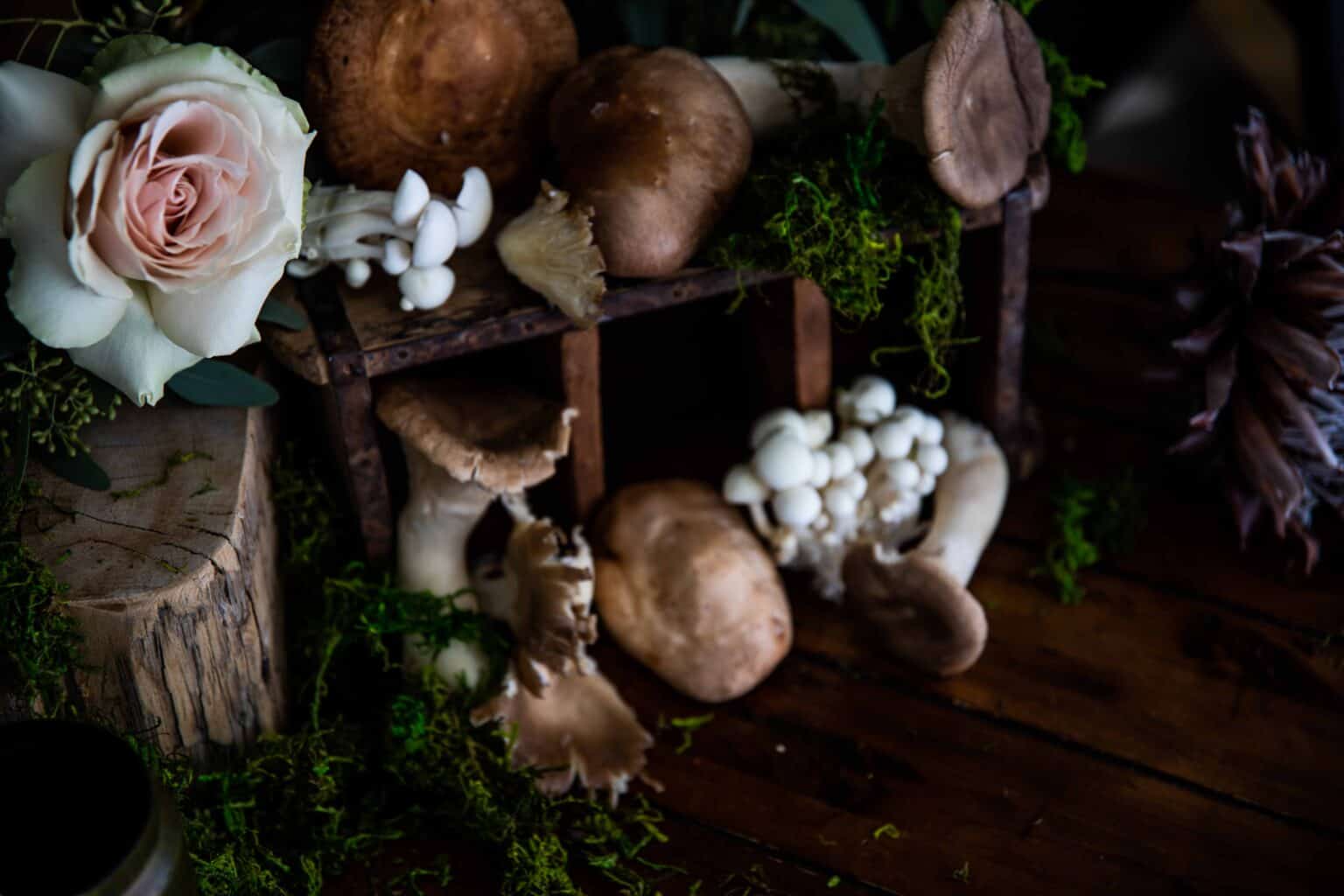 Bearface Matsutake Whisky and Peach Cocktail Liquid Culture